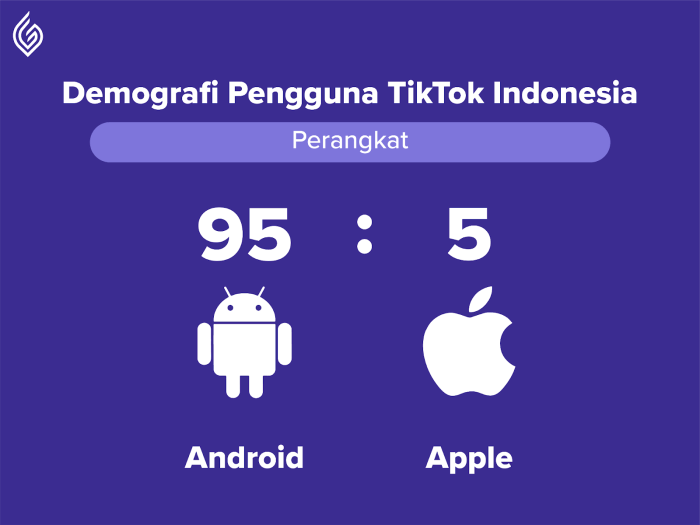 Data Pengguna Media Sosial Tiktok Di Indonesia 2025