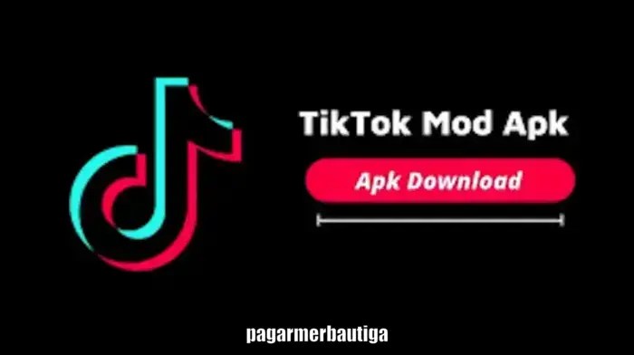 Tiktok Live Apk 2025 Latest Version