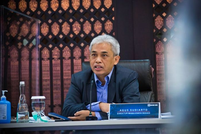 Pinjaman BRI 2025 Eform BRI