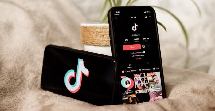 Lagu Yang Sedang Viral Di Tiktok 2025