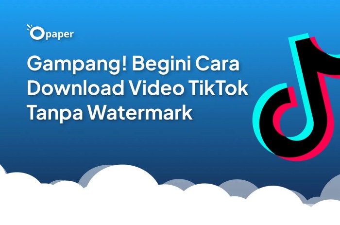 Download Tiktok Video 2025