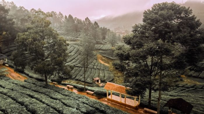 Apakah UMK Jateng 2025 sudah mempertimbangkan pertumbuhan ekonomi?