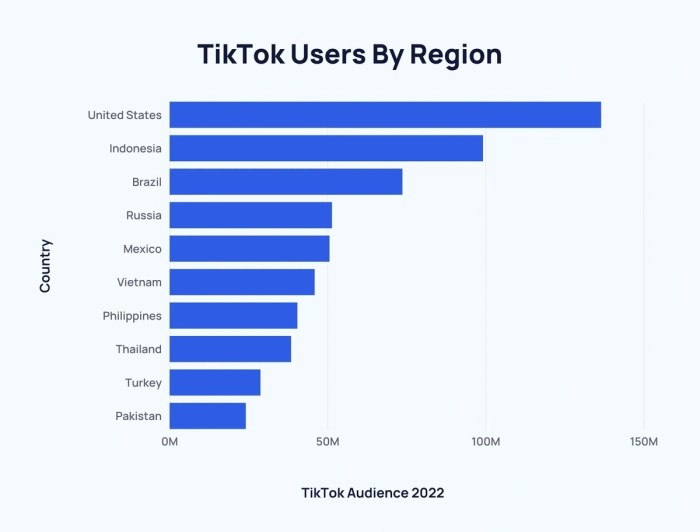 Tiktok Users Demographics 2025