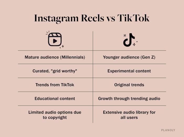 Tiktok Vs Instagram 2025