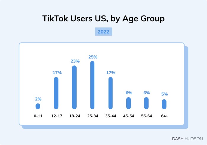 Usia Pengguna Tiktok Di Indonesia 2025