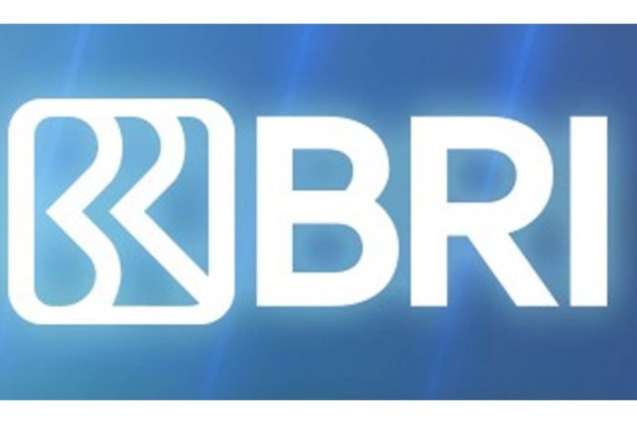 Pinjaman BRI 2025 Eform BRI