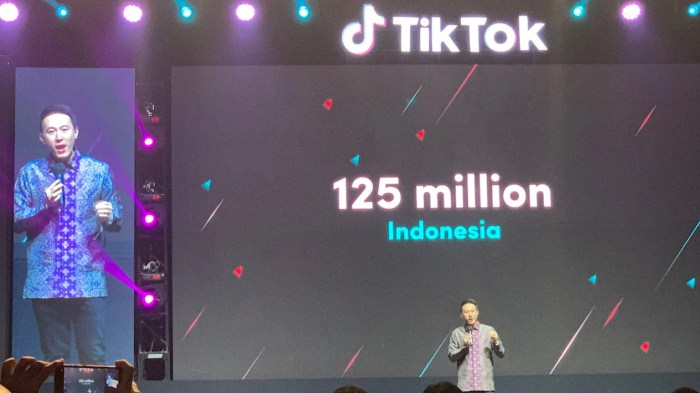 Tiktok User Indonesia 2025