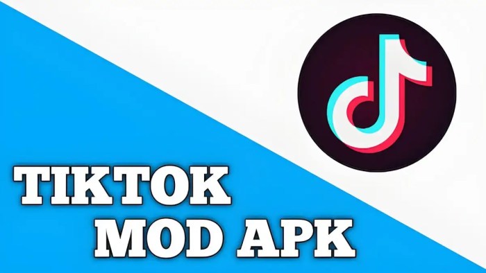 Tiktok Update Apk 2025