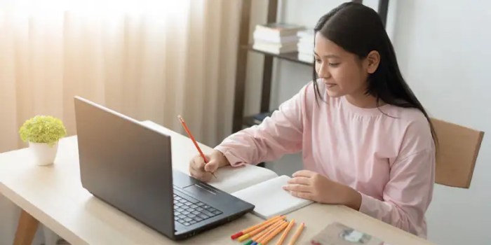 Hp Yang Akan Rilis Januari 2025