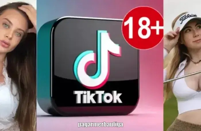 Tiktok Plugin Apk 2025