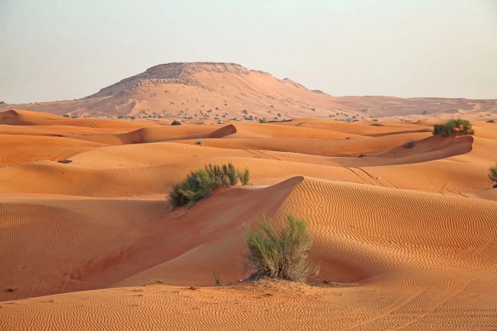 Saudi arabia medina climate temperature monthly average temperatures weather data charts 1958 years day yearly night climatic over basis created