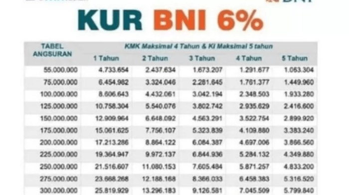 Tabel Pinjaman BNI 2025 Umum