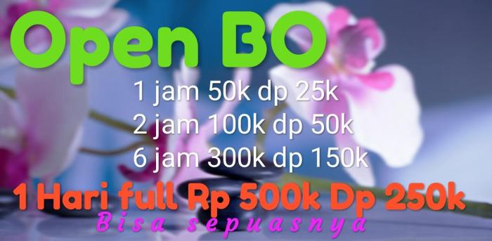 Aplikasi Open Bo 2025