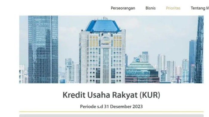Perbandingan KUR Mandiri 2025 dengan Program Kredit Usaha Lainnya