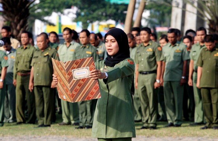 Uang makan PNS daerah 2025 golongan IVB