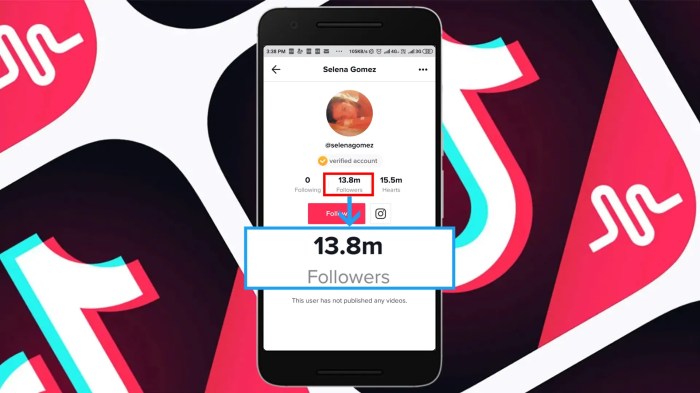 Jasa Tambah Followers Tiktok Gratis 2025
