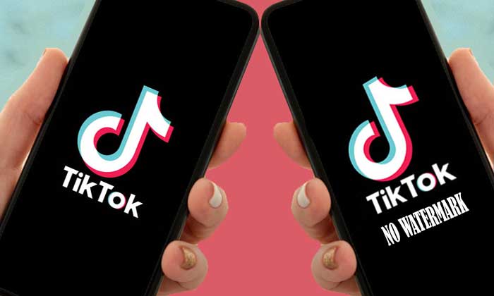 Tiktok Mod Apk 2025