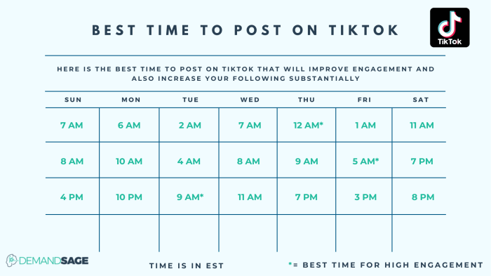 Tiktok Post Times 2025