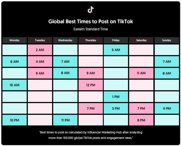 Tiktok tok tik algorithm quantum marketer quantummarketer Tiktok Best Posting Times 2025