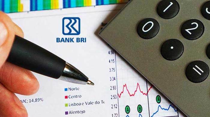 Top Up Pinjaman BRI 2025