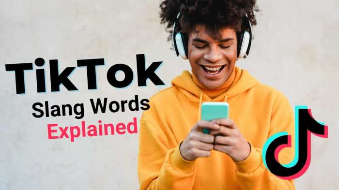 Tiktok Lingo 2025