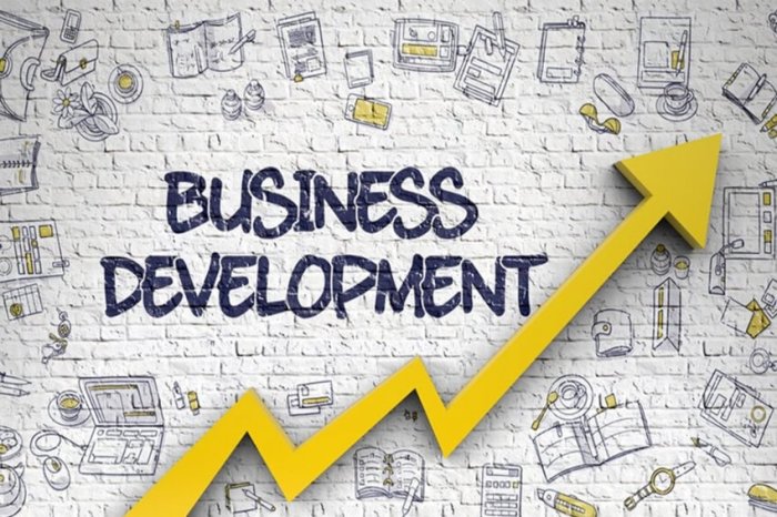 Gaji Business Development 2025