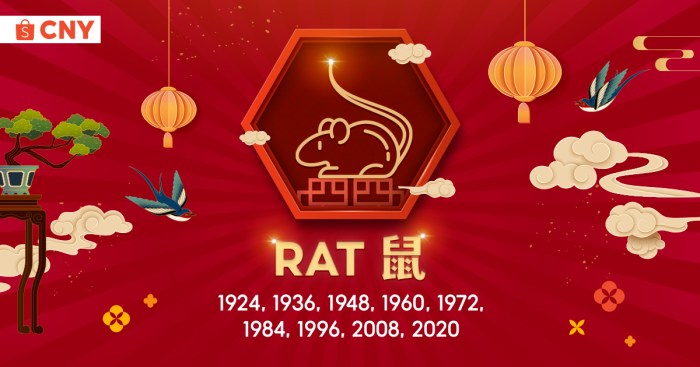 Tips menciptakan harmoni dan keseimbangan untuk shio Tikus tahun 2025