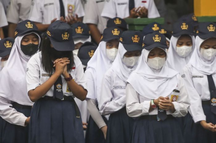 Cek PIP 2025
