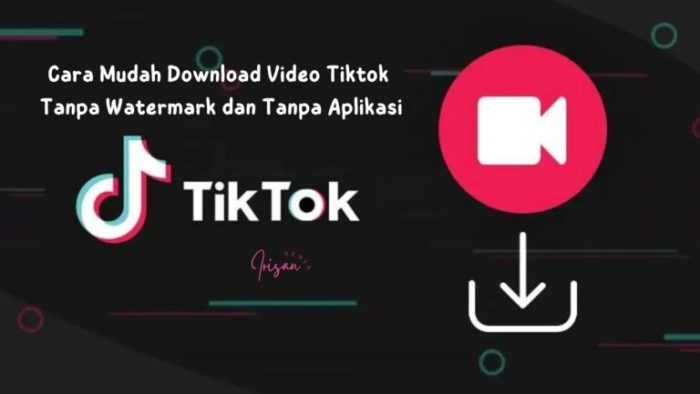 Download Tiktok Video 2025