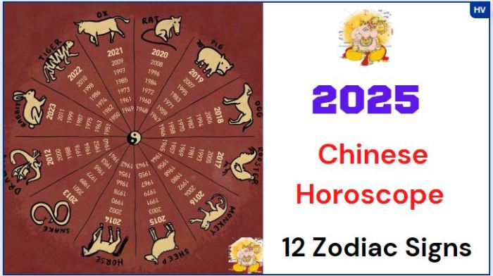 Prediksi shio Tikus tahun 2025 berdasarkan elemen