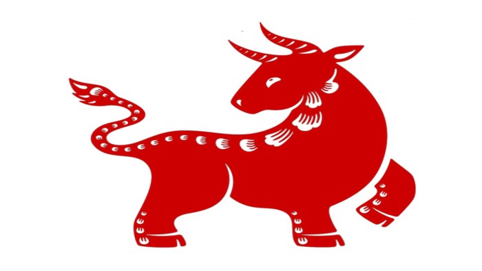 Ox astrology yin lunar begins foreverconscious