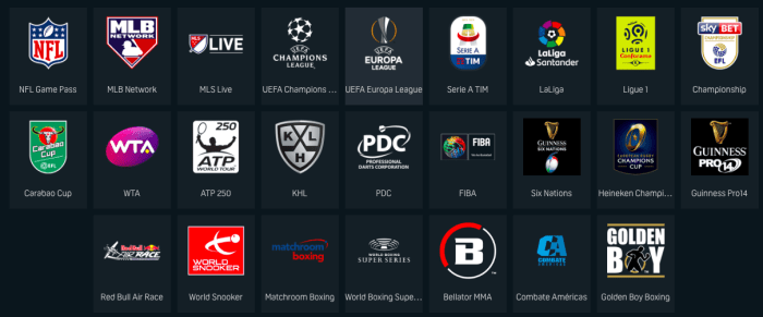 Aplikasi Nonton Bola Gratis 2025