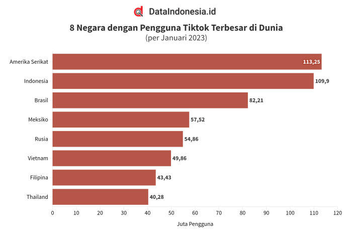 Data Statistik Pengguna Tiktok Di Indonesia 2025