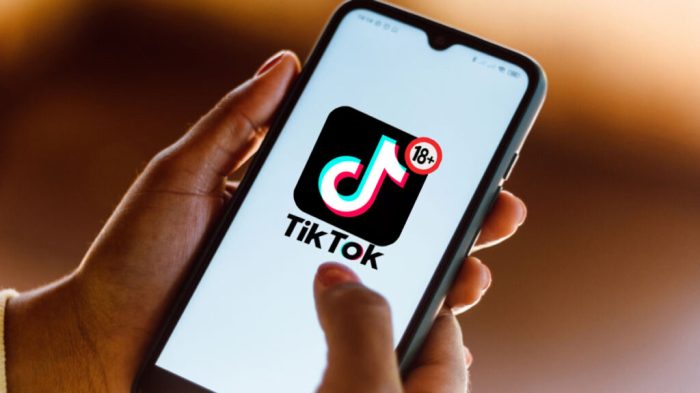 Tiktok 18 2025 Apk Indir