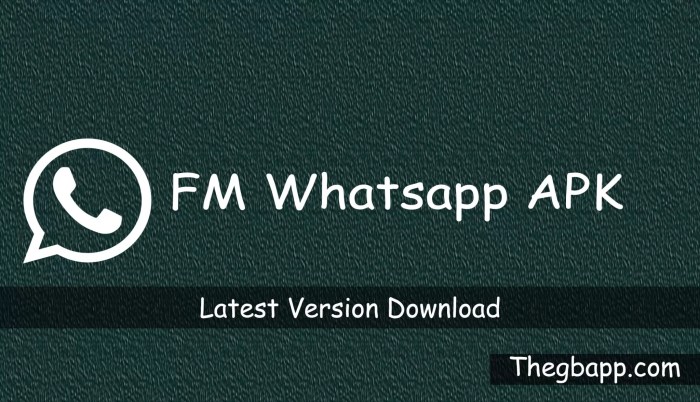 Download Aplikasi Fm Whatsapp Terbaru 2025