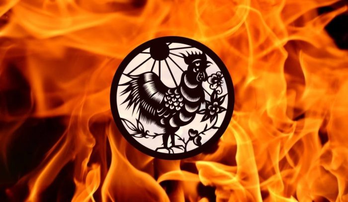 Bagaimana shio Macan menghadapi tahun Ayam Api 2024 secara umum?