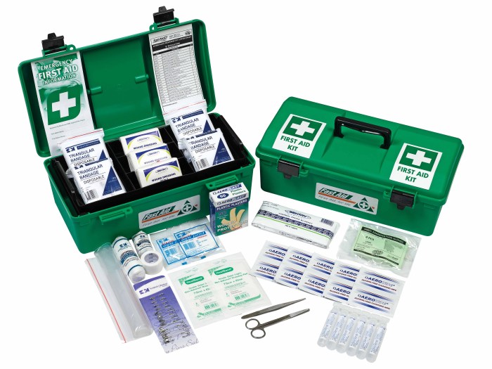 Aid first kit bag pouch greenworks medical malaysia