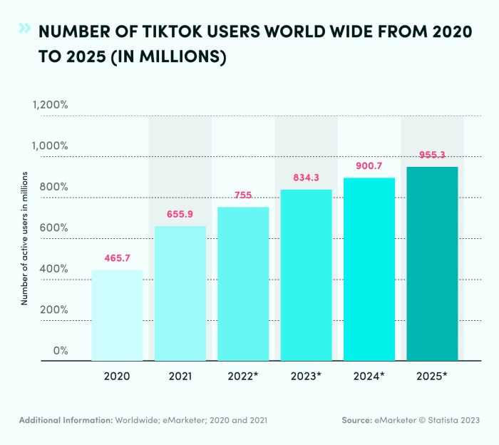 Number Of Tiktok Users 2025