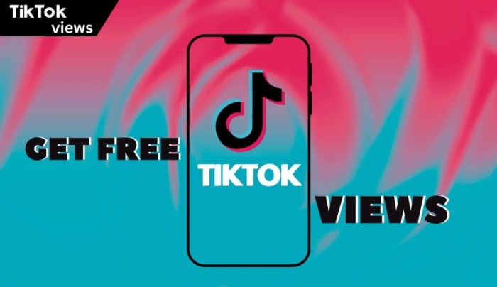 Tiktok views verification