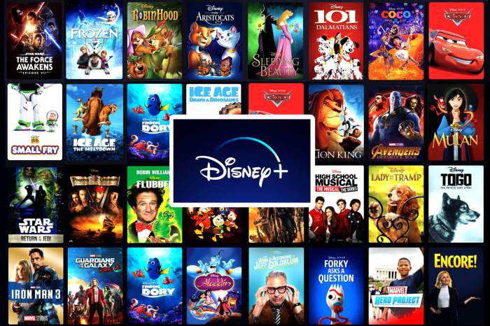 Film bioskop terbaru Januari 2025 di Disney+ Hotstar