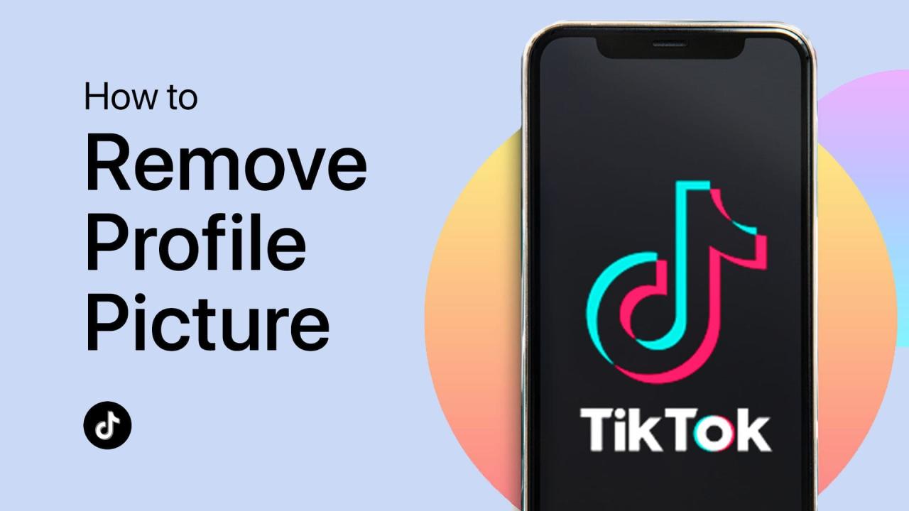 Cara Hapus Pp Tiktok 2025