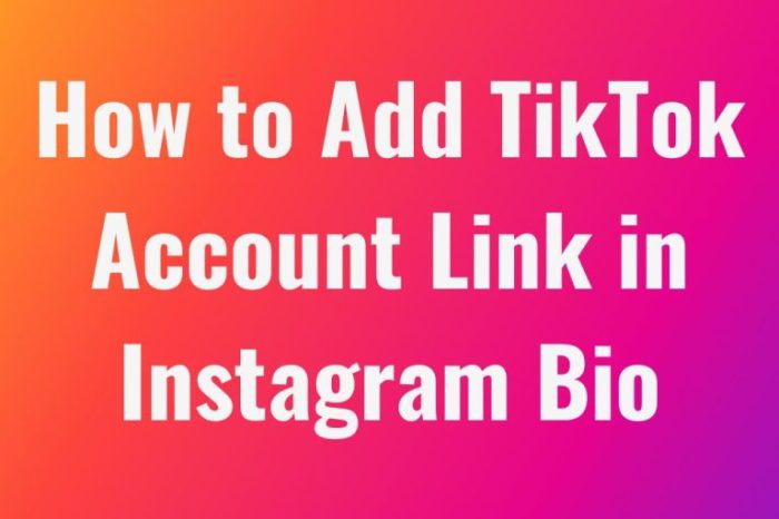 How To Add Instagram To Tiktok Bio 2025
