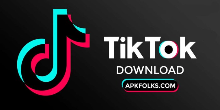 Tiktok Download App Install 2025