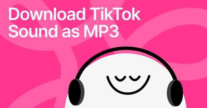 Download Video Tiktok Mp3 2025