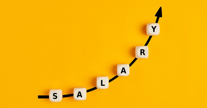 Salary salario increases singaporeans recibir determine minimumloon voy fin baamboozle geschreven