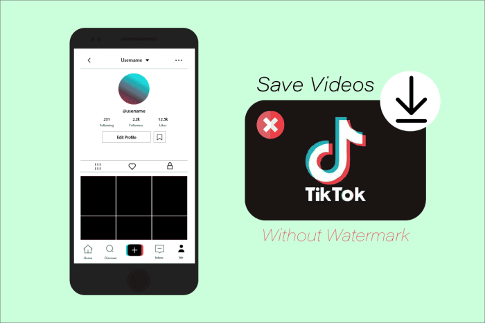 Download Video Tiktok Tanpa Watermark 2025