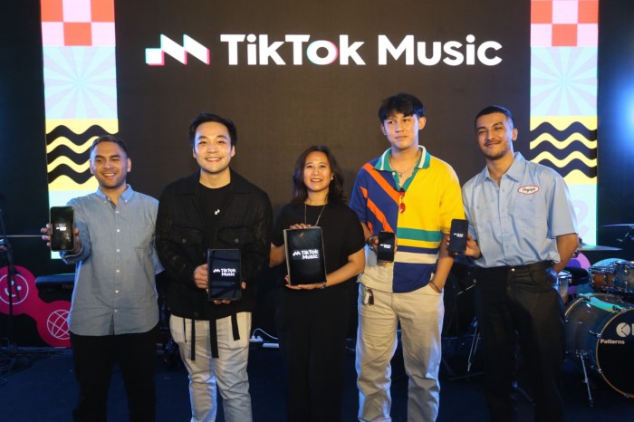 Indonesian Song Tiktok 2025