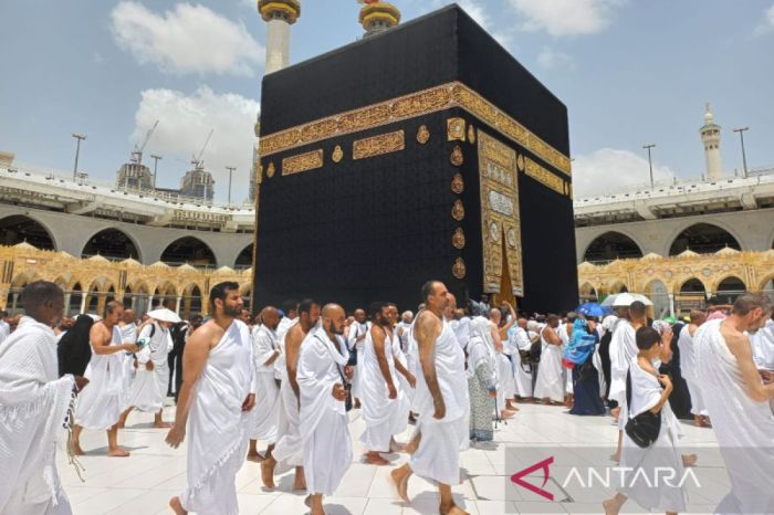 Apakah ada kebijakan baru terkait penggunaan aplikasi dalam pelayanan jamaah haji?