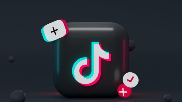 Konten Viral Tiktok 2025