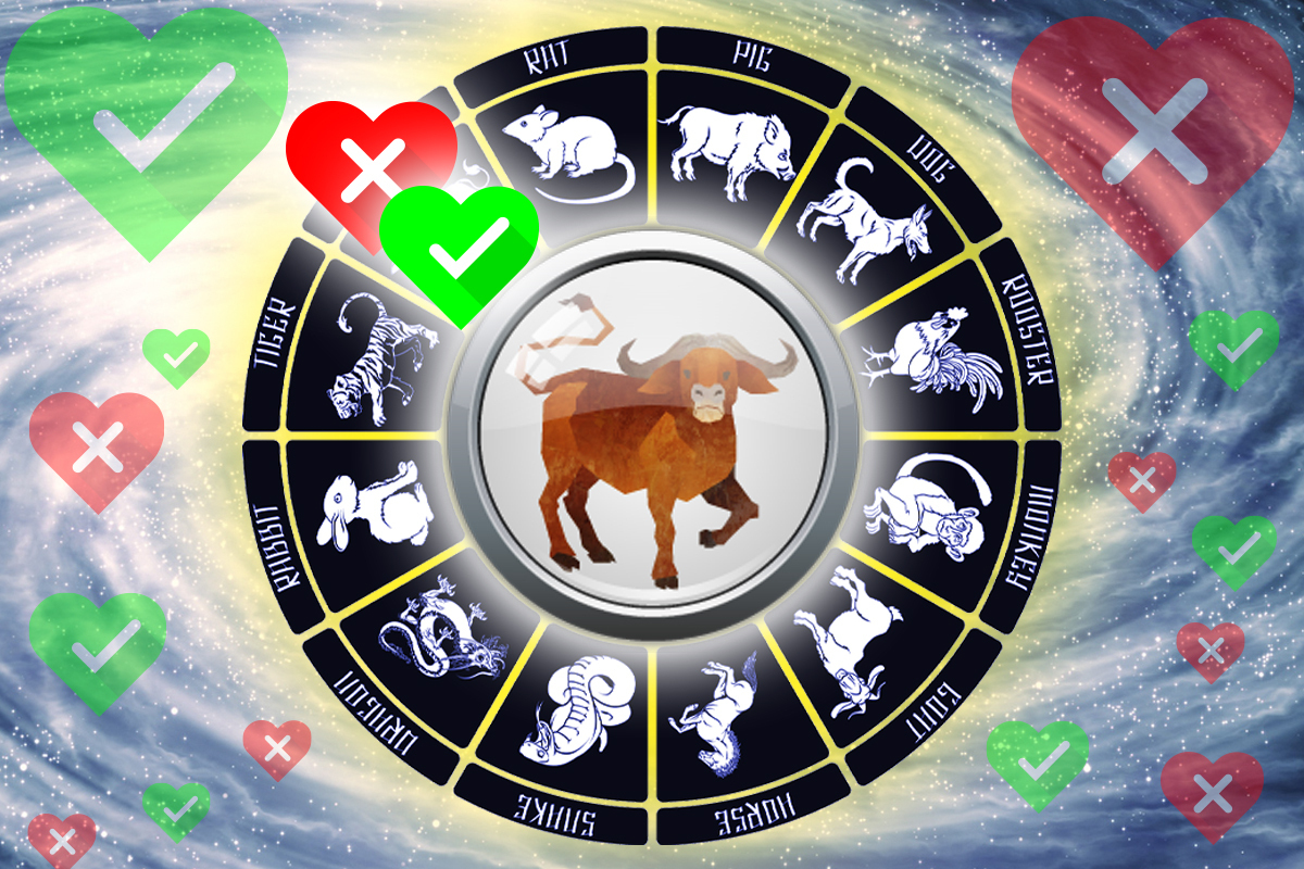 Ox zodiac buey calendar